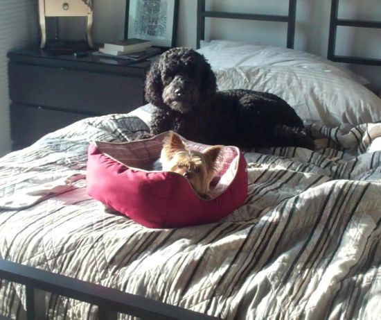 Junebug and Olive power struggles, intimacy